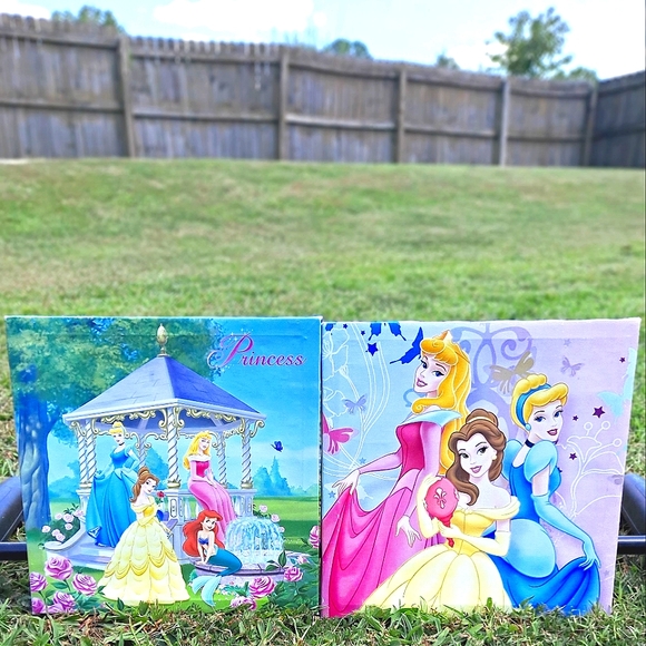 2 Disney Canvases 🌸 1 Princess-Nature And 🦋 1 Princess Butterfly - Picture 1 of 7